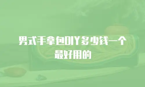 男式手拿包DIY多少钱一个最好用的