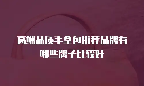 高端品质手拿包推荐品牌有哪些牌子比较好