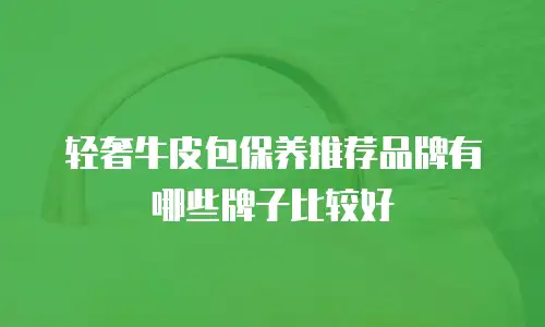 轻奢牛皮包保养推荐品牌有哪些牌子比较好