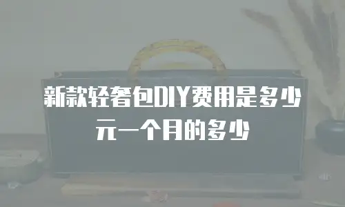 新款轻奢包DIY费用是多少元一个月的多少