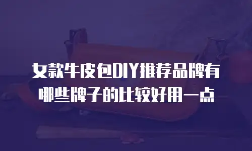 女款牛皮包DIY推荐品牌有哪些牌子的比较好用一点