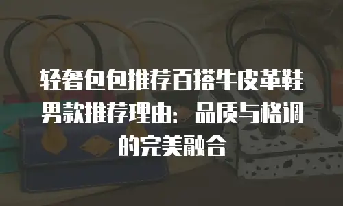 轻奢包包推荐百搭牛皮革鞋男款推荐理由：品质与格调的完美融合