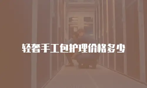 轻奢手工包护理价格多少