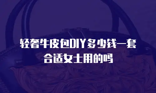 轻奢牛皮包DIY多少钱一套合适女士用的吗