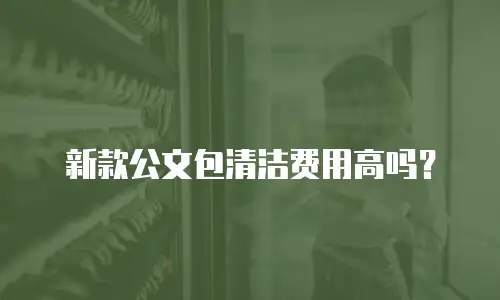 新款公文包清洁费用高吗？