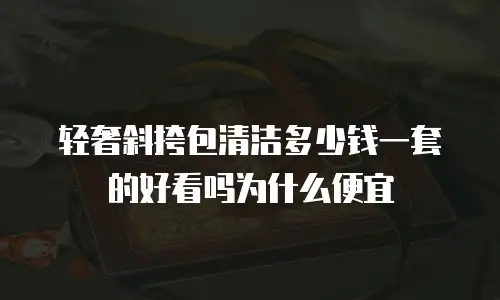 轻奢斜挎包清洁多少钱一套的好看吗为什么便宜