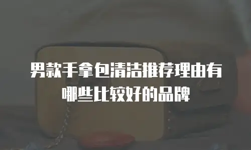男款手拿包清洁推荐理由有哪些比较好的品牌