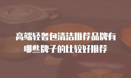 高端轻奢包清洁推荐品牌有哪些牌子的比较好推荐