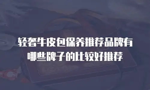 轻奢牛皮包保养推荐品牌有哪些牌子的比较好推荐