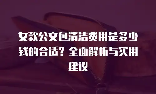 女款公文包清洁费用是多少钱的合适？全面解析与实用建议