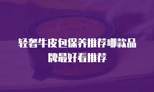 轻奢牛皮包保养推荐哪款品牌最好看推荐