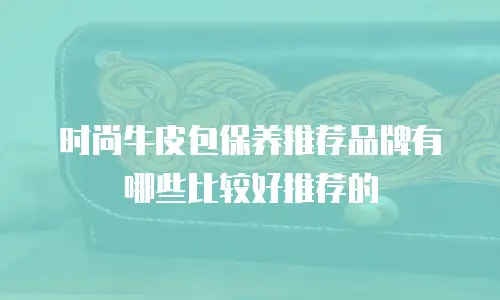 时尚牛皮包保养推荐品牌有哪些比较好推荐的