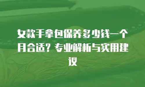 女款手拿包保养多少钱一个月合适？专业解析与实用建议
