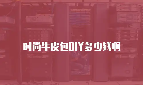 时尚牛皮包DIY多少钱啊