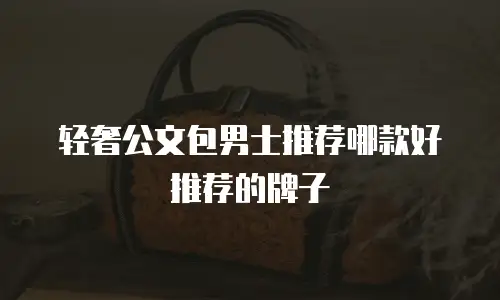 轻奢公文包男士推荐哪款好推荐的牌子