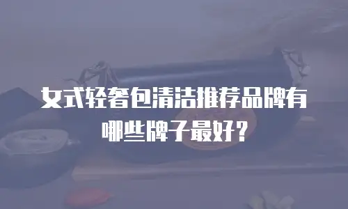 女式轻奢包清洁推荐品牌有哪些牌子最好？