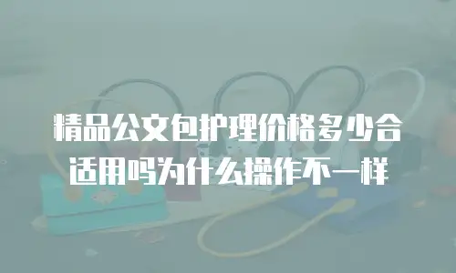 精品公文包护理价格多少合适用吗为什么操作不一样