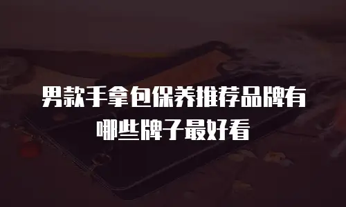 男款手拿包保养推荐品牌有哪些牌子最好看