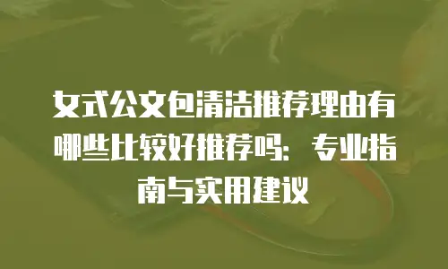 女式公文包清洁推荐理由有哪些比较好推荐吗：专业指南与实用建议