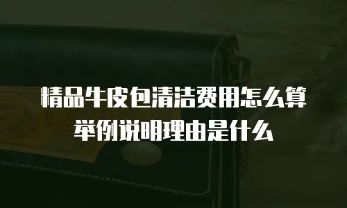 精品牛皮包清洁费用怎么算举例说明理由是什么
