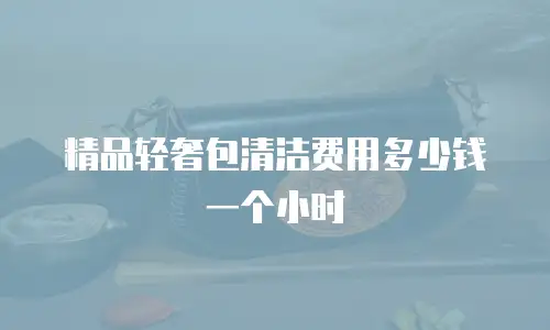 精品轻奢包清洁费用多少钱一个小时