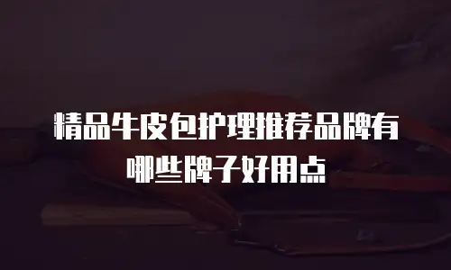 精品牛皮包护理推荐品牌有哪些牌子好用点