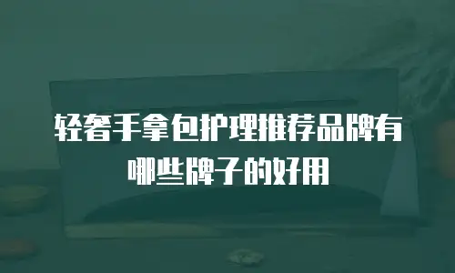 轻奢手拿包护理推荐品牌有哪些牌子的好用