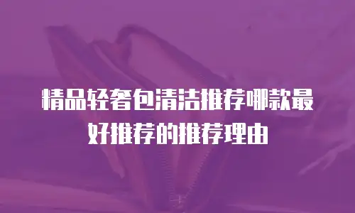 精品轻奢包清洁推荐哪款最好推荐的推荐理由