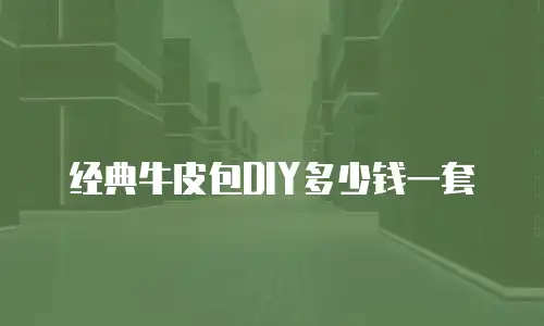 经典牛皮包DIY多少钱一套