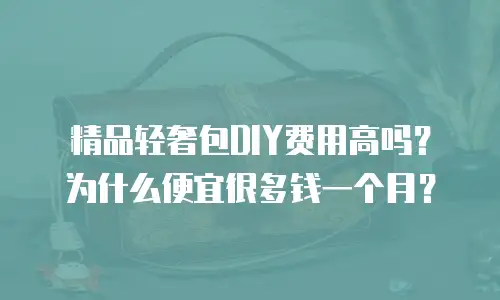 精品轻奢包DIY费用高吗？为什么便宜很多钱一个月？
