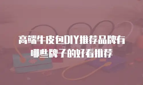 高端牛皮包DIY推荐品牌有哪些牌子的好看推荐