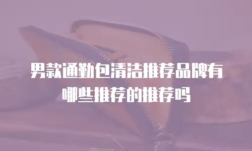 男款通勤包清洁推荐品牌有哪些推荐的推荐吗