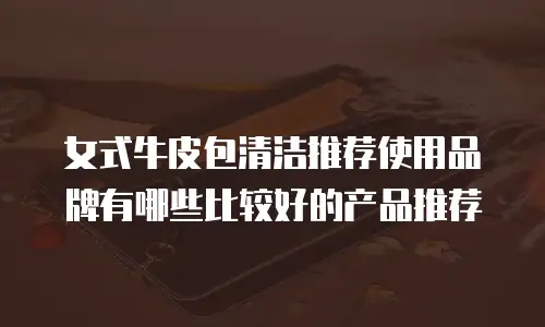 女式牛皮包清洁推荐使用品牌有哪些比较好的产品推荐
