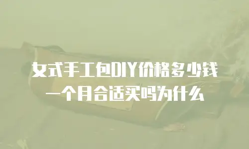女式手工包DIY价格多少钱一个月合适买吗为什么