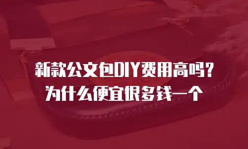 新款公文包DIY费用高吗？为什么便宜很多钱一个