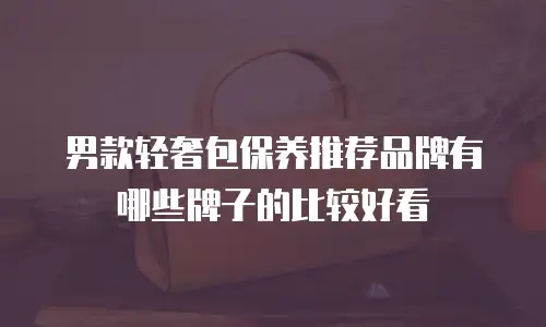 男款轻奢包保养推荐品牌有哪些牌子的比较好看