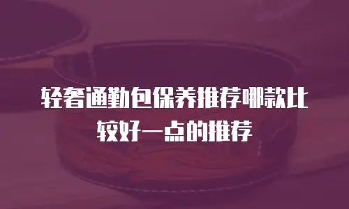 轻奢通勤包保养推荐哪款比较好一点的推荐