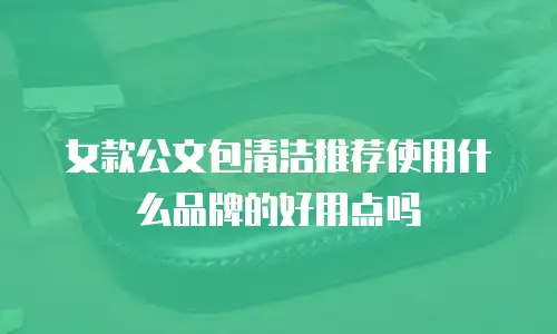 女款公文包清洁推荐使用什么品牌的好用点吗