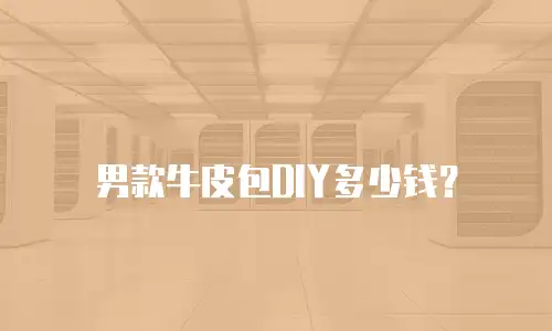 男款牛皮包DIY多少钱？