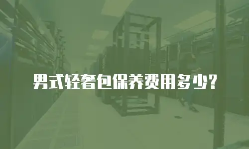 男式轻奢包保养费用多少？
