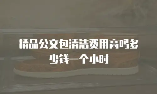 精品公文包清洁费用高吗多少钱一个小时