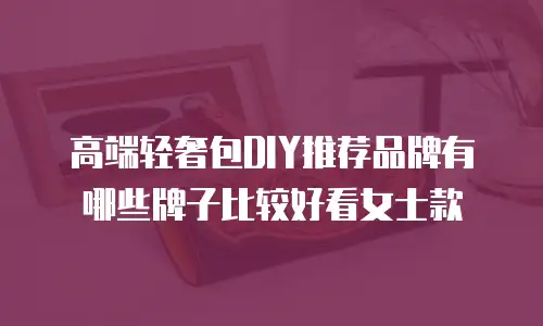 高端轻奢包DIY推荐品牌有哪些牌子比较好看女士款