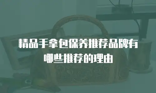 精品手拿包保养推荐品牌有哪些推荐的理由