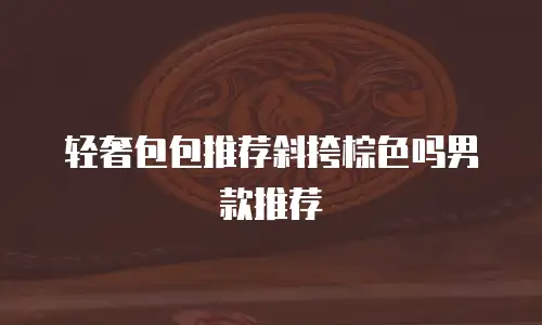 轻奢包包推荐斜挎棕色吗男款推荐