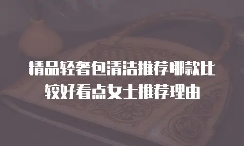 精品轻奢包清洁推荐哪款比较好看点女士推荐理由