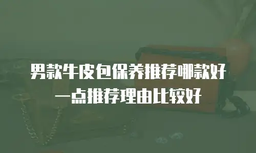 男款牛皮包保养推荐哪款好一点推荐理由比较好