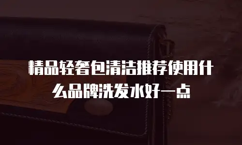 精品轻奢包清洁推荐使用什么品牌洗发水好一点