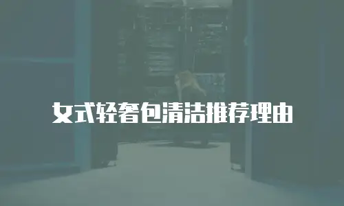 女式轻奢包清洁推荐理由