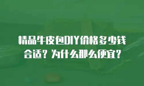 精品牛皮包DIY价格多少钱合适？为什么那么便宜？