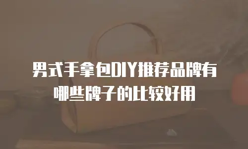 男式手拿包DIY推荐品牌有哪些牌子的比较好用